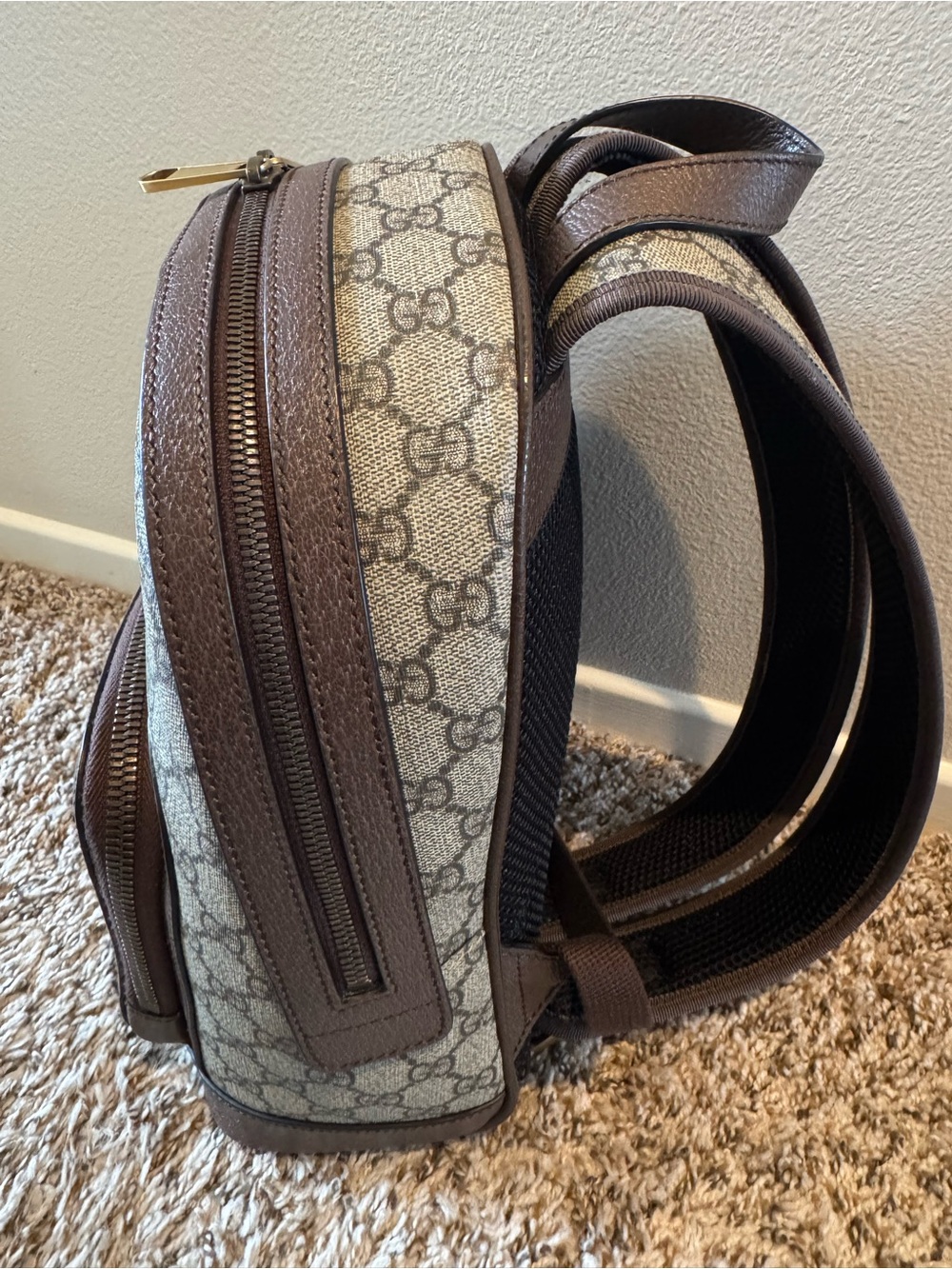 Gucci GG Supreme Ophidia Small Backpack Beige/Brown with Iconic Green & Red Web - Picture 7 of 16